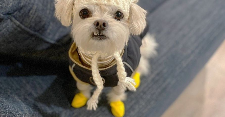 Poppy wears Yellow Boots
