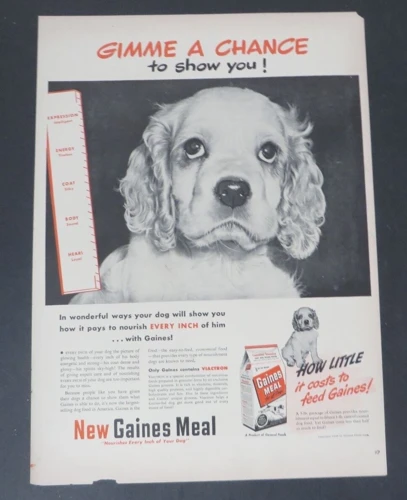 Commercial Dog Food