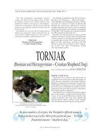 Contemporary Role Of Tornjak In Croatia