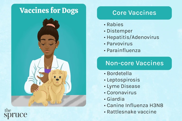 Core And Non-Core Vaccines For Cocker Spaniels