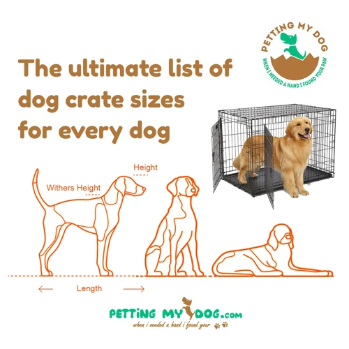 Crate Training Don'Ts