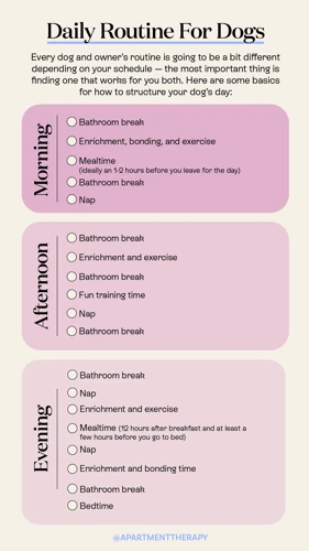 Designing An Exercise Routine