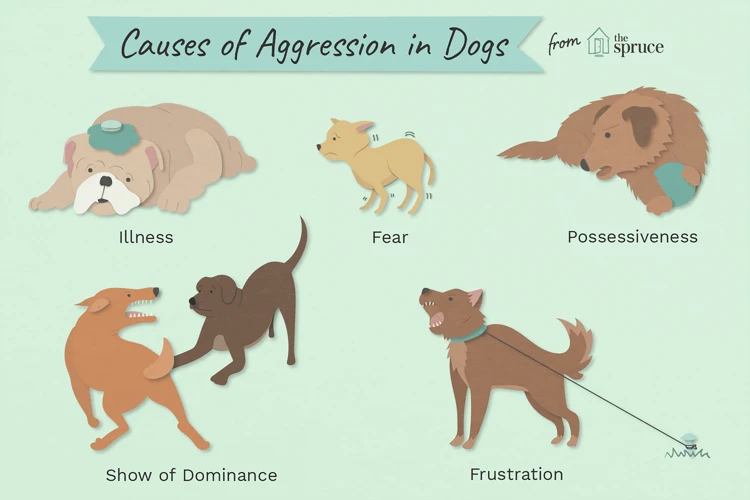 Fear And Aggressive Behavior In Dogs