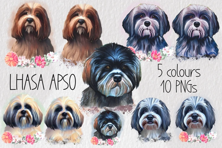 Featured Lhasa Apso Instagram Accounts And Their Behind The Scenes Stories