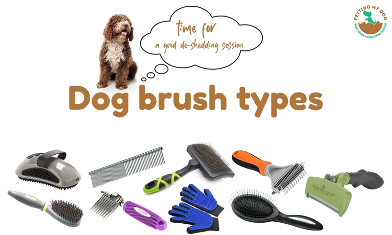 How To Choose The Right Brush For Your Lhasa Apso