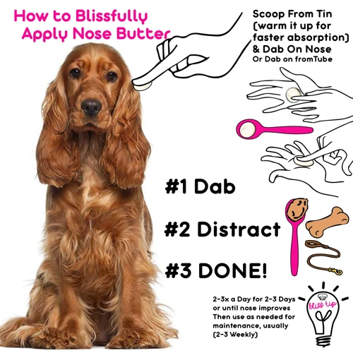 How To Use Conditioning Sprays And Detangling Solutions On Your American Cocker Spaniel