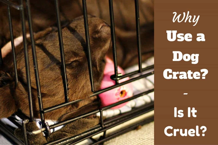 Mistake #2: Skipping Crate Training Steps