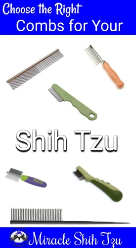 Must-Have Brushing Tools For Your Shih Poo
