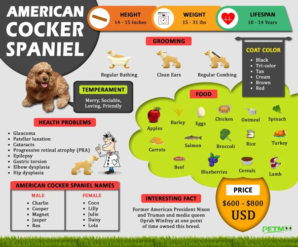 Nutritional Needs Of American Cocker Spaniels