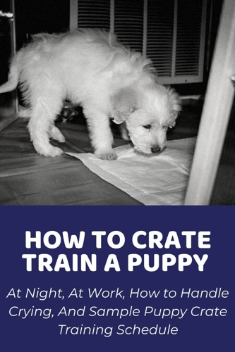 Positive Reinforcements For Crate Training