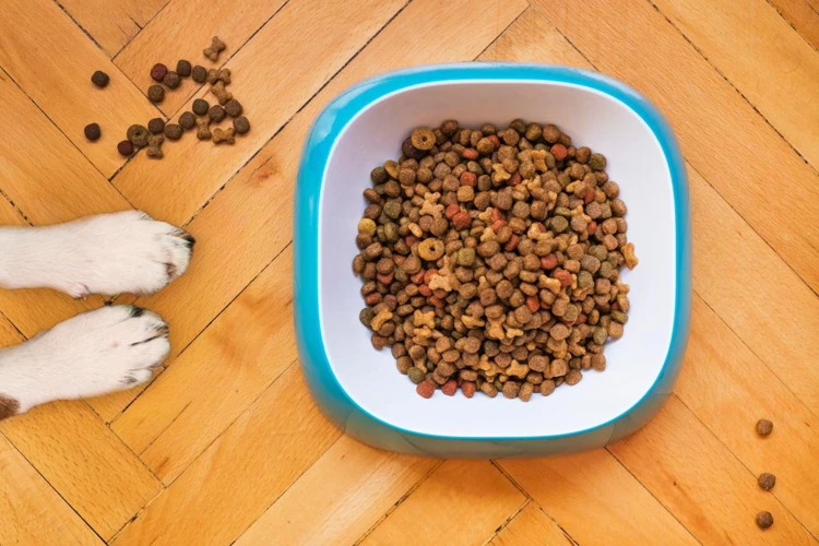 Pros Of Commercial Dog Food