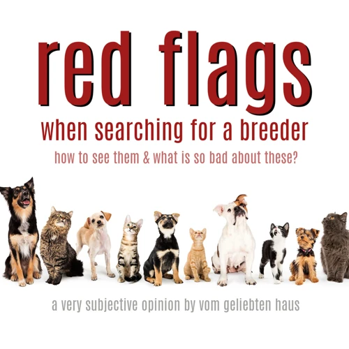 Red Flags To Watch Out For When Choosing A Breeder