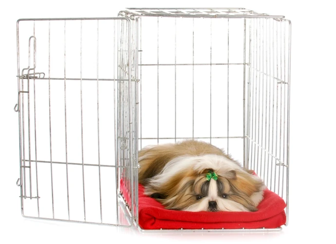 Step 6: Use Crate Training Wisely