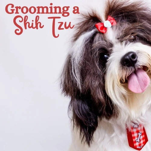 The Don'Ts Of Brushing Your Shih Poo'S Coat