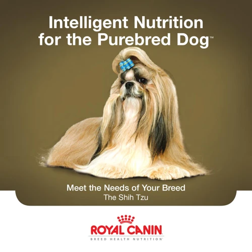 The Role Of Protein In Your Shih Poo'S Diet