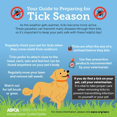 Tick And Flea Prevention Methods