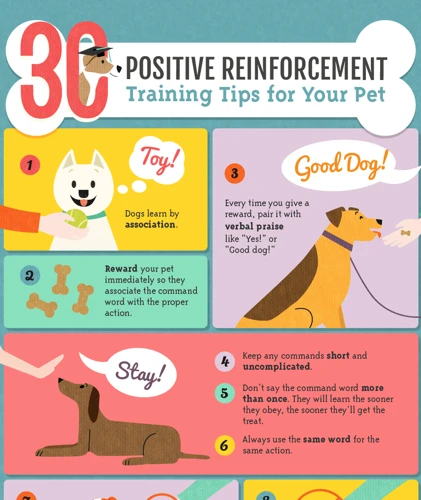 Tip #1: Positive Reinforcement
