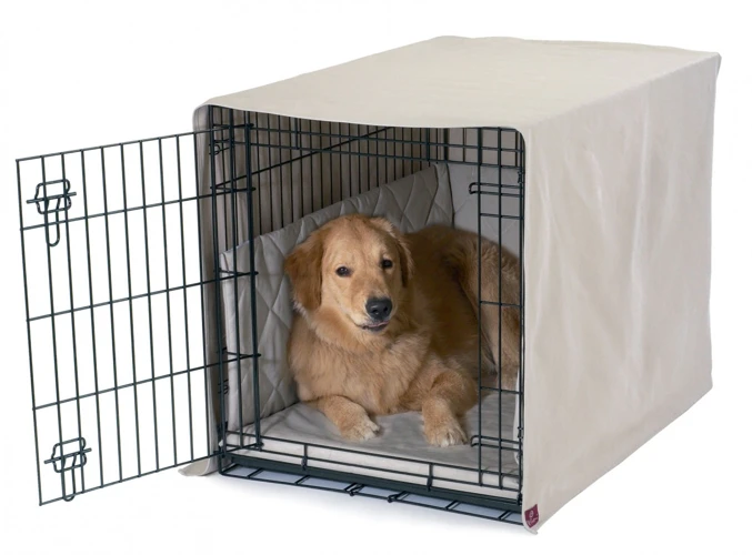 Tips For Crate Training Your Tornjak