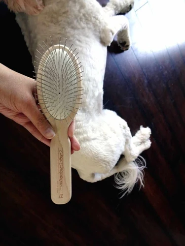 Types Of Brushes For Shih Poos