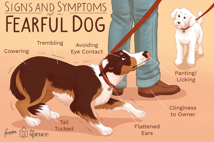 Understanding Dog Fears And Phobias
