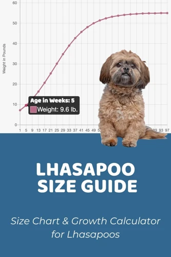Understanding Lhasa Apso Size And Weight