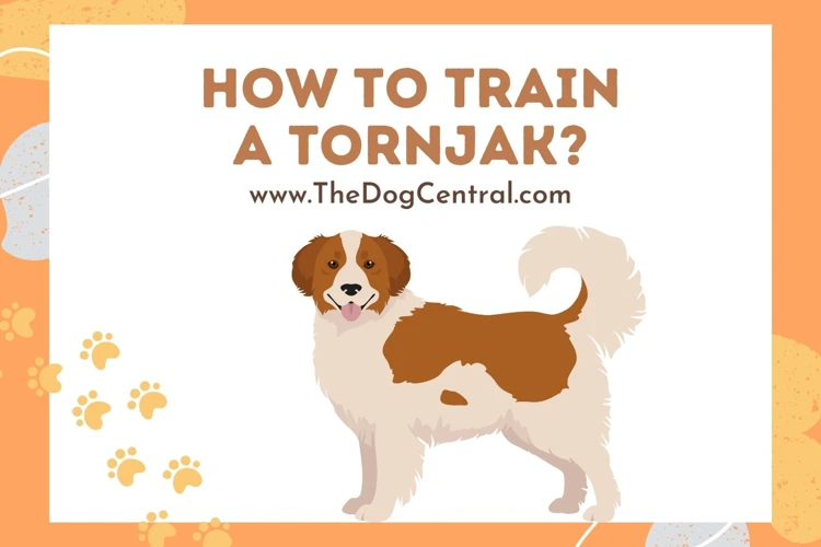 Understanding Tornjak Potty Training