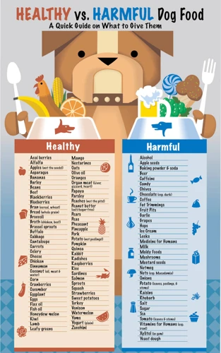 Why A Balanced Diet Plan Is Important For Your Shih Poo