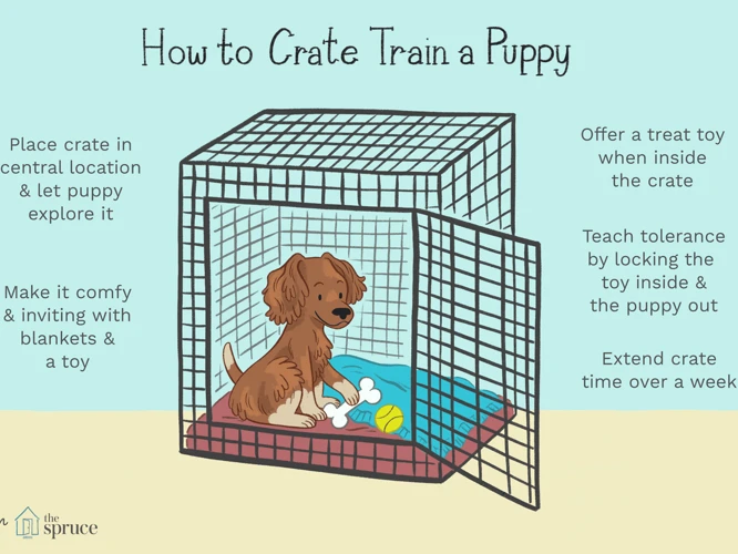 Why Crate Training Is Important